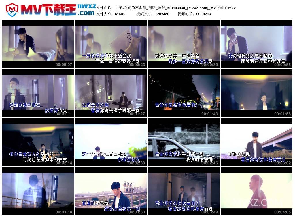 王子-我真的不舍得_国语_流行_MD103930